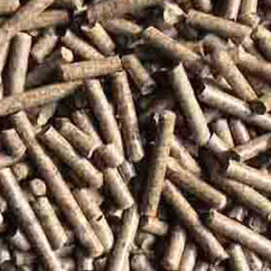 生物質燃料顆粒
